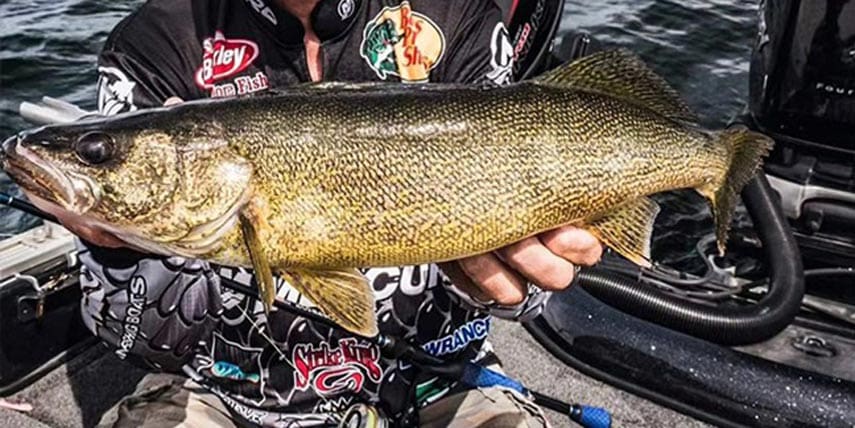 Gary holding Walleye